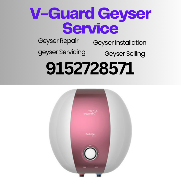 V Guard Geyser Service 1 768x768